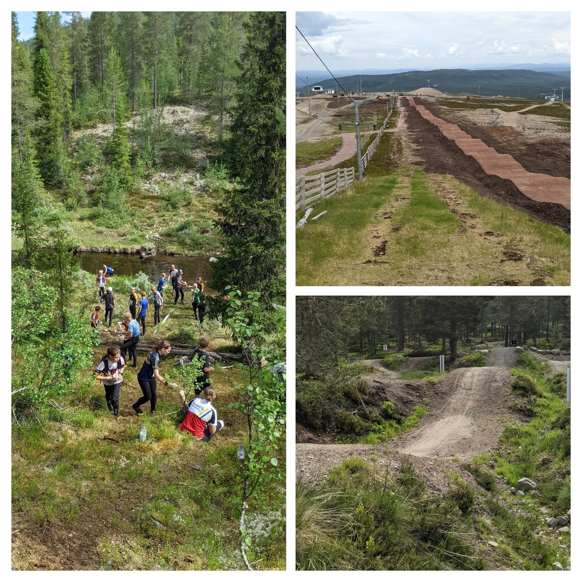 Bilder med uplevelser från rikslägret i MTB-O: Ungdomar cyklar i fjällmiljö och umgås