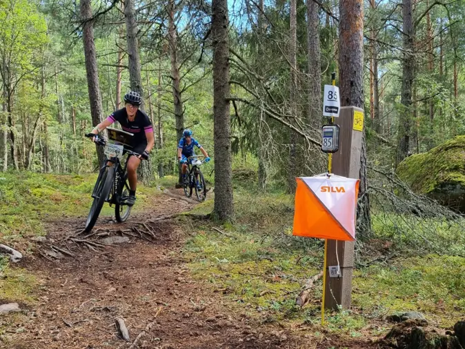O-Ringen är världens största orienteringstävling och erbjuder varje år högklassiga tävlingar i mountainbikeorientering. Det finns både tävlingsklasser där man tävlar över fem dagar och öppna banor där man kan välja enstaka etapper.