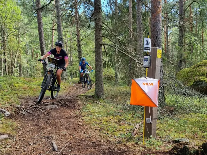 O-Ringen är världens största orienteringstävling och erbjuder varje år högklassiga tävlingar i mountainbikeorientering. Det finns både tävlingsklasser där man tävlar över fem dagar och öppna banor där man kan välja enstaka etapper.