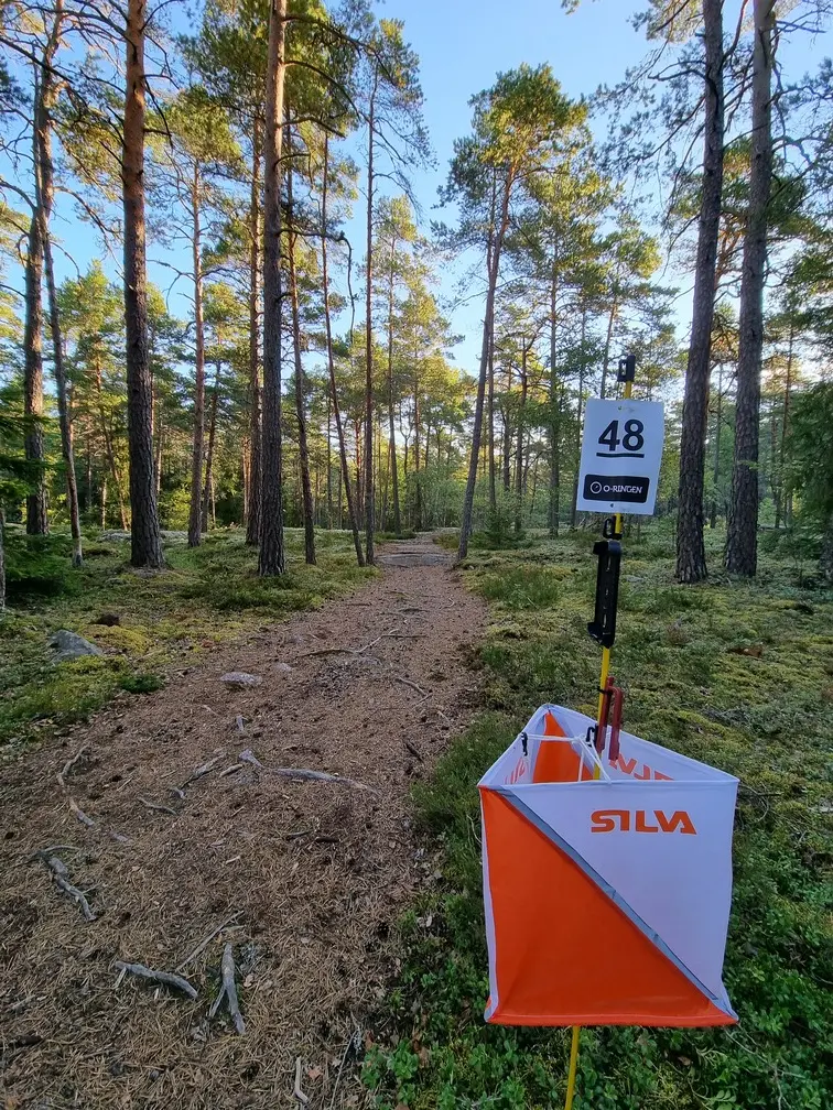 MTBO kontroll i skogen