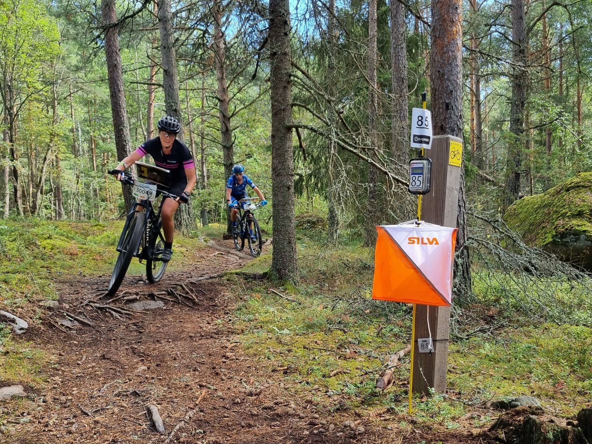 MTBO på O-Ringen